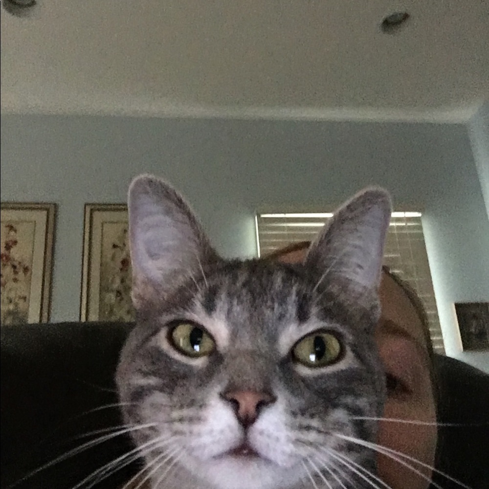 Meet your Posher, Laura